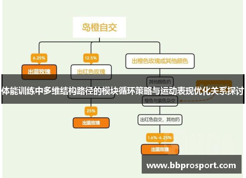 体能训练中多维结构路径的模块循环策略与运动表现优化关系探讨